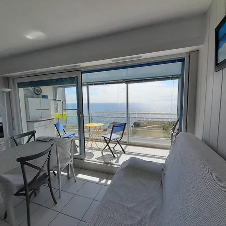 Face Avec Balcon-veranda, Parking Prive, Criques A Proximite, Accueil Petits Chiens - Fr-1-324-32 *
